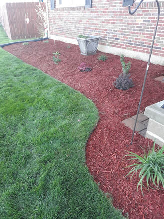 Freshly mowed lawn, edged flower bed, with new mulch